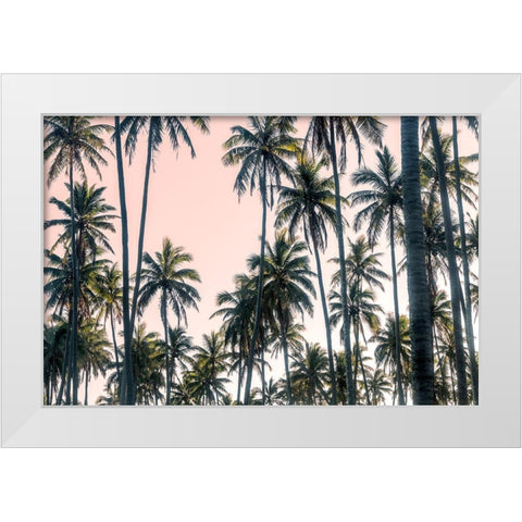 Palms View on Pink Sky II White Modern Wood Framed Art Print by Amos, Andy
