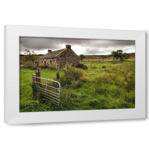 Once at Home White Modern Wood Framed Art Print by Amos, Andy