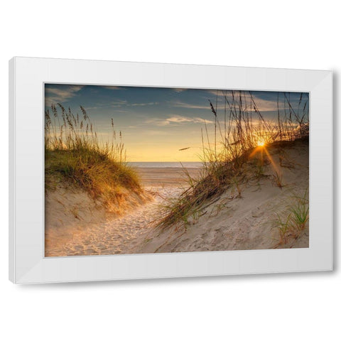 Coastal Dunes White Modern Wood Framed Art Print by Amos, Andy