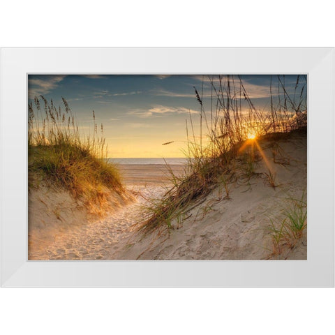 Coastal Dunes White Modern Wood Framed Art Print by Amos, Andy