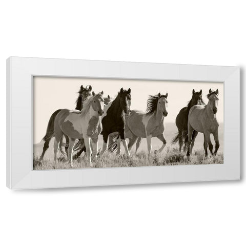 Black And White Horses in the Wild White Modern Wood Framed Art Print by Walker, Carol