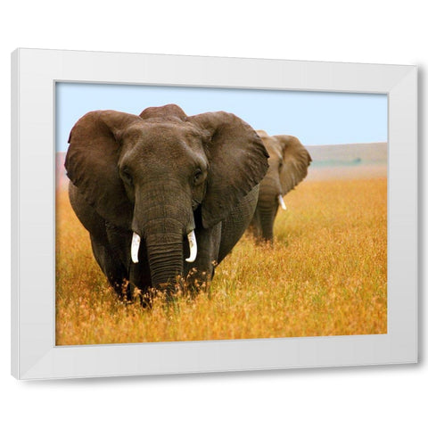 Elephant Plains White Modern Wood Framed Art Print by Mansfield, Kathy