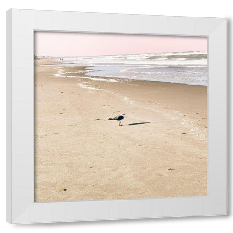 Evening Shadow White Modern Wood Framed Art Print by Navas, Emily
