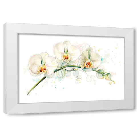 White Orchids White Modern Wood Framed Art Print by Pinto, Patricia