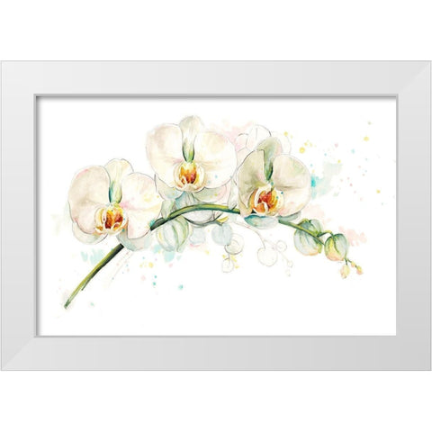 White Orchids White Modern Wood Framed Art Print by Pinto, Patricia