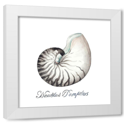 Nautilus White Modern Wood Framed Art Print by Pinto, Patricia