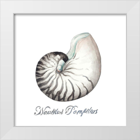 Nautilus White Modern Wood Framed Art Print by Pinto, Patricia