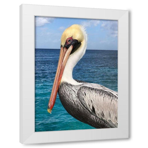 Pelican White Modern Wood Framed Art Print by DeRice, Julie