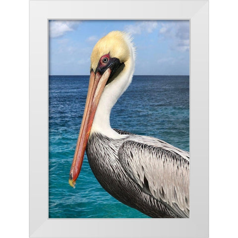 Pelican White Modern Wood Framed Art Print by DeRice, Julie
