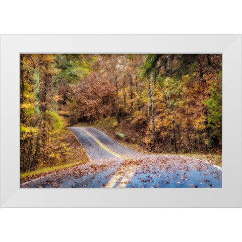 Woodland Road II White Modern Wood Framed Art Print by Amos, Andy