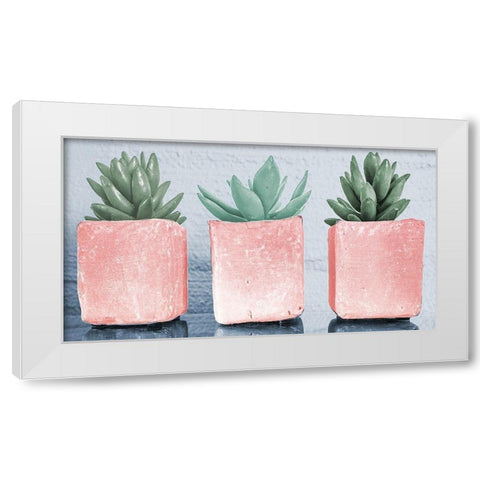 Pink Potted Succulents White Modern Wood Framed Art Print by Bill Carson Photography