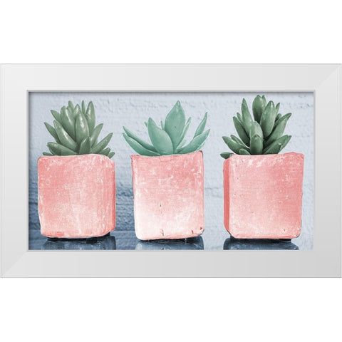 Pink Potted Succulents White Modern Wood Framed Art Print by Bill Carson Photography