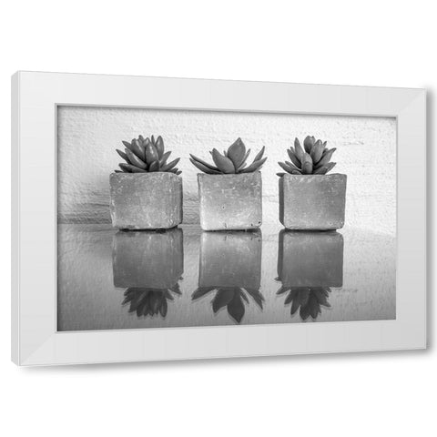 Potted Succulent White Modern Wood Framed Art Print by Bill Carson Photography