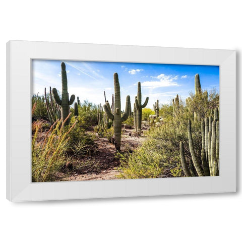 Into the Desert White Modern Wood Framed Art Print by Bill Carson Photography