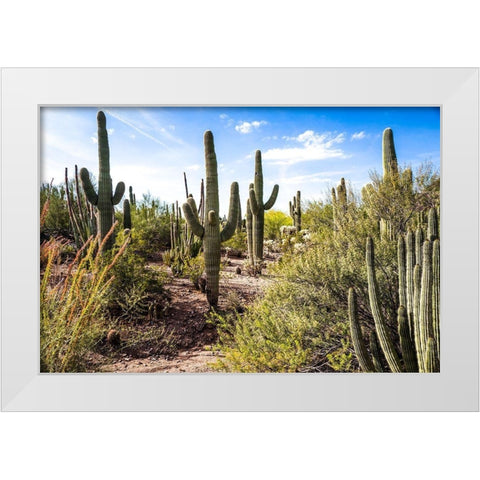 Into the Desert White Modern Wood Framed Art Print by Bill Carson Photography