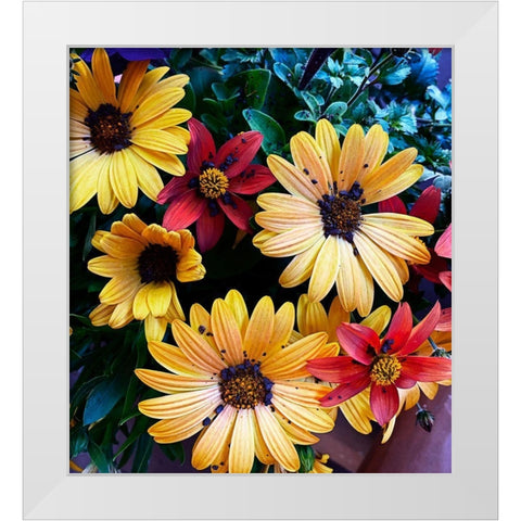 Colorful Bunch White Modern Wood Framed Art Print by Coppel, Anna