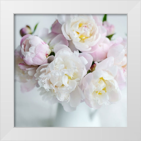 Soft Petal Lane White Modern Wood Framed Art Print by Gardner, Sarah