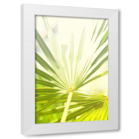 Among Palms I White Modern Wood Framed Art Print by Bryant, Susan