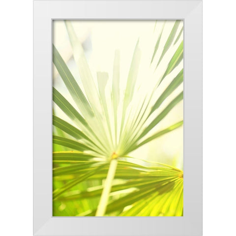 Among Palms I White Modern Wood Framed Art Print by Bryant, Susan