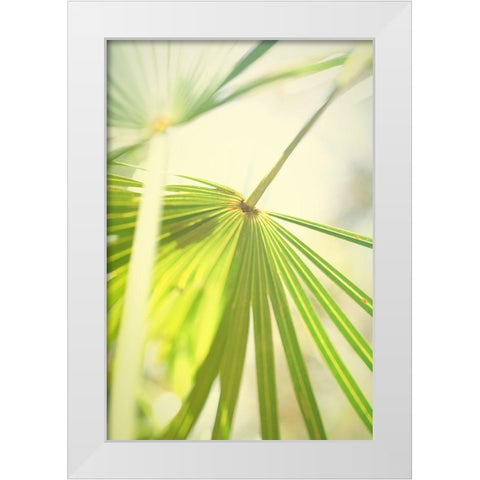 Among Palms II White Modern Wood Framed Art Print by Bryant, Susan