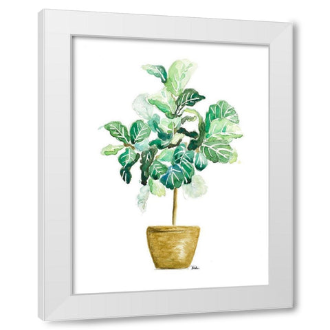 Fig Plant White Modern Wood Framed Art Print by Pinto, Patricia