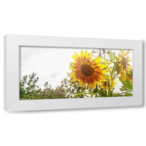 Summer Sunflower I White Modern Wood Framed Art Print by Wilson, Kali