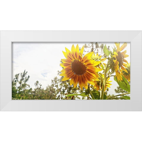 Summer Sunflower I White Modern Wood Framed Art Print by Wilson, Kali