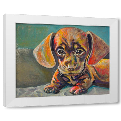 Puppy Face White Modern Wood Framed Art Print by Beauchamp, Andy