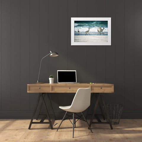 Egret Walk White Modern Wood Framed Art Print by Nawrocke, Bruce