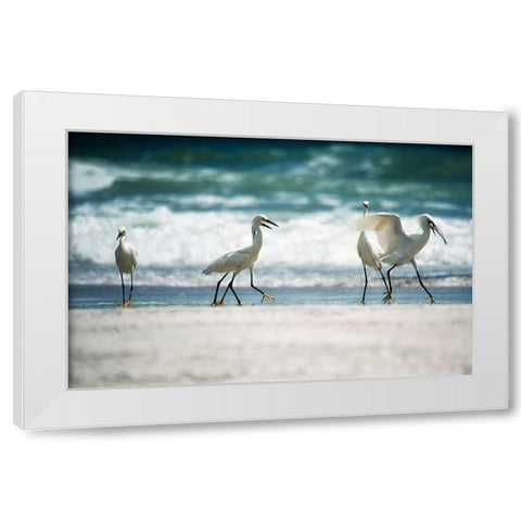 Egret Walk White Modern Wood Framed Art Print by Nawrocke, Bruce