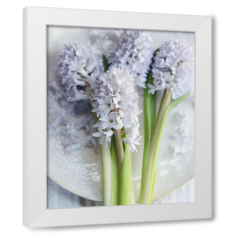 My Quiet Beauty White Modern Wood Framed Art Print by Gardner, Sarah