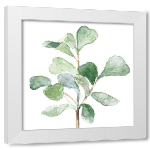 Fiddle Fig Leaf Plant I White Modern Wood Framed Art Print by Loreth, Lanie