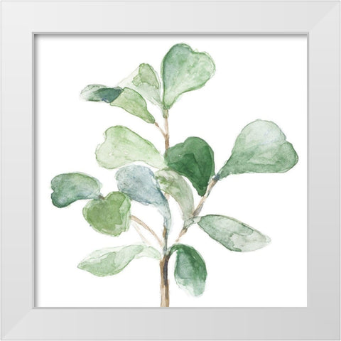 Fiddle Fig Leaf Plant I White Modern Wood Framed Art Print by Loreth, Lanie
