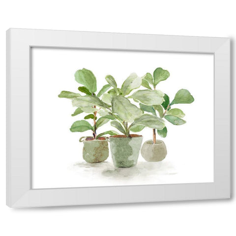Fiddle Fig Trio White Modern Wood Framed Art Print by Loreth, Lanie