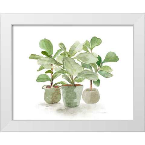 Fiddle Fig Trio White Modern Wood Framed Art Print by Loreth, Lanie
