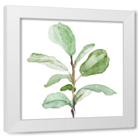 Fiddle Fig Leaf Plant II White Modern Wood Framed Art Print by Loreth, Lanie