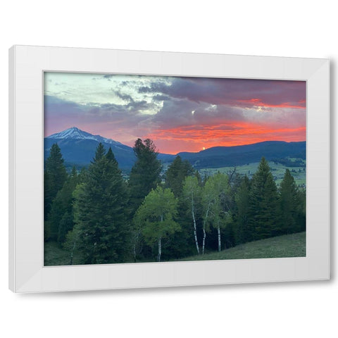 Sunset View From The Cabin White Modern Wood Framed Art Print by Coppel, Anna