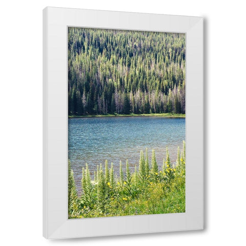Hidden Lake White Modern Wood Framed Art Print by Coppel, Anna
