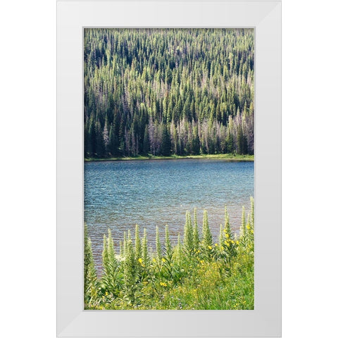 Hidden Lake White Modern Wood Framed Art Print by Coppel, Anna