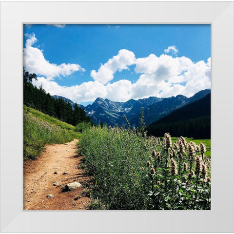 Lovely Path White Modern Wood Framed Art Print by Coppel, Anna