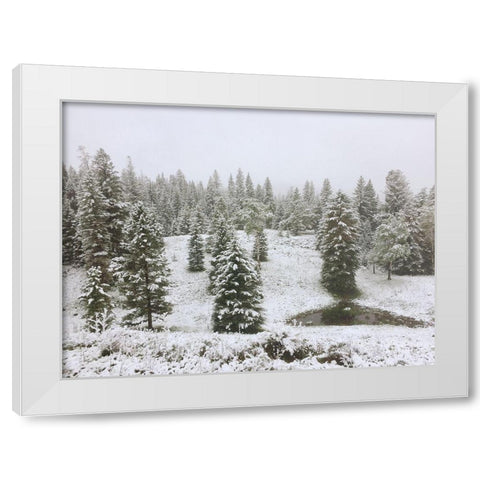 Dusting of Snow White Modern Wood Framed Art Print by Coppel, Anna