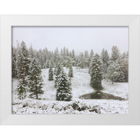 Dusting of Snow White Modern Wood Framed Art Print by Coppel, Anna