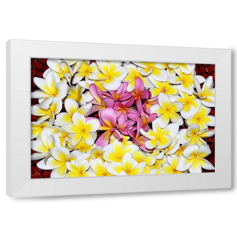 Floating Petals White Modern Wood Framed Art Print by Coppel, Anna