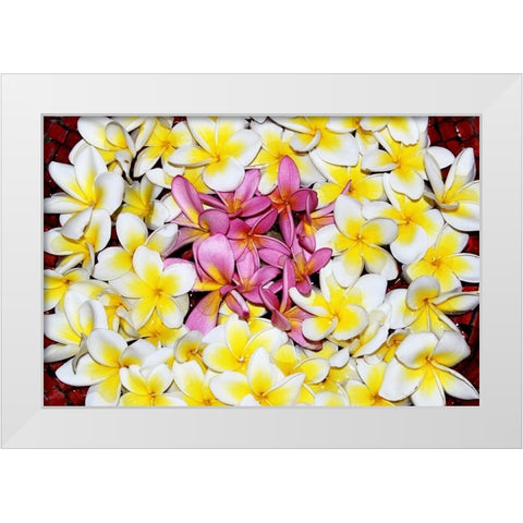 Floating Petals White Modern Wood Framed Art Print by Coppel, Anna