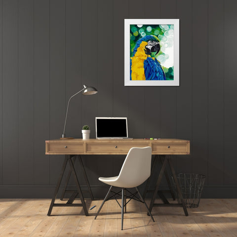 Brilliant Parrot White Modern Wood Framed Art Print by Goodrich, Chelsea