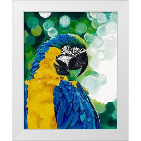 Brilliant Parrot White Modern Wood Framed Art Print by Goodrich, Chelsea
