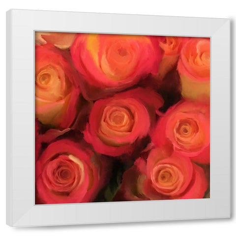 Peach Roses White Modern Wood Framed Art Print by Meneely, Dan