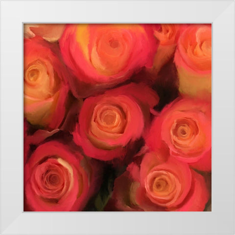 Peach Roses White Modern Wood Framed Art Print by Meneely, Dan