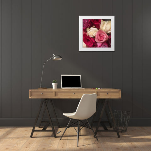 Pink Roses White Modern Wood Framed Art Print by Meneely, Dan