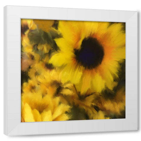 Sunflower White Modern Wood Framed Art Print by Meneely, Dan